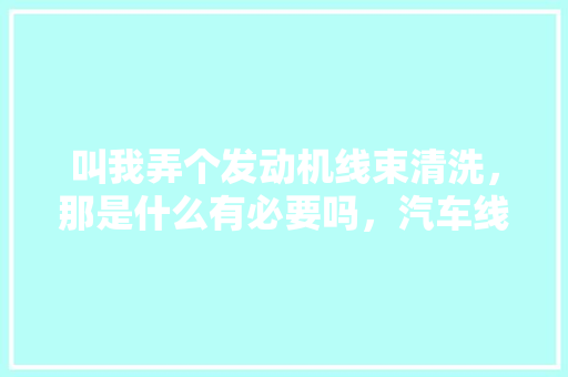 叫我弄个发动机线束清洗，那是什么有必要吗，汽车线路保养多久做一次比较好。  第1张 叫我弄个发动机线束清洗，那是什么有必要吗，汽车线路保养多久做一次比较好。 新车