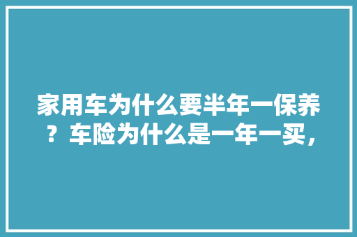 家用车为什么要半年一保养？车险为什么是一年一买，全车汽车保养多久做一次比较好。  第1张 家用车为什么要半年一保养？车险为什么是一年一买，全车汽车保养多久做一次比较好。 新能源
