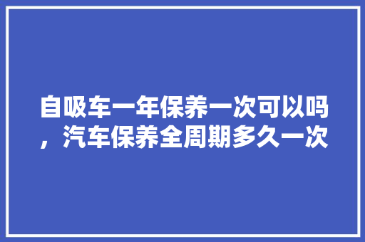 自吸车一年保养一次可以吗，汽车保养全周期多久一次啊。  第1张 自吸车一年保养一次可以吗，汽车保养全周期多久一次啊。 新能源