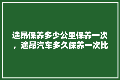 途昂保养多少公里保养一次，途昂汽车多久保养一次比较好。  第1张 途昂保养多少公里保养一次，途昂汽车多久保养一次比较好。 汽车配件