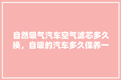 自然吸气汽车空气滤芯多久换，自吸的汽车多久保养一次比较好。  第1张 自然吸气汽车空气滤芯多久换，自吸的汽车多久保养一次比较好。 豪华车