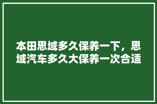 本田思域多久保养一下，思域汽车多久大保养一次合适。  第1张 本田思域多久保养一下，思域汽车多久大保养一次合适。 豪华车