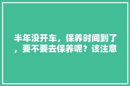 半年没开车，保养时间到了，要不要去保养呢？该注意些什么，汽车多久保养一次到期。  第1张 半年没开车，保养时间到了，要不要去保养呢？该注意些什么，汽车多久保养一次到期。 汽车保养