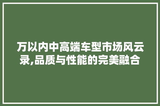 万以内中高端车型市场风云录,品质与性能的完美融合 摩托车配件 万以内中高端车型市场风云录,品质与性能的完美融合 第1张 万以内中高端车型市场风云录,品质与性能的完美融合 摩托车配件