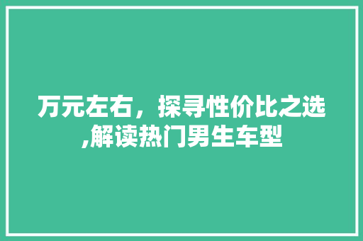 万元左右，探寻性价比之选,解读热门男生车型  第1张 万元左右，探寻性价比之选,解读热门男生车型 摩托车维修