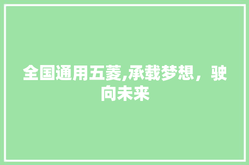 全国通用五菱,承载梦想，驶向未来  第1张 全国通用五菱,承载梦想，驶向未来 豪华车