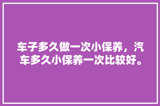 车子多久做一次小保养，汽车多久小保养一次比较好。  第1张 车子多久做一次小保养，汽车多久小保养一次比较好。 汽车维修