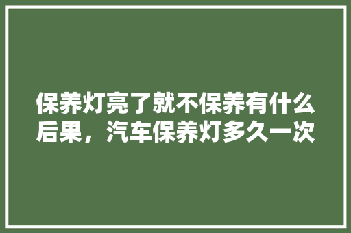 保养灯亮了就不保养有什么后果，汽车保养灯多久一次好点呢。  第1张 保养灯亮了就不保养有什么后果，汽车保养灯多久一次好点呢。 汽车配件