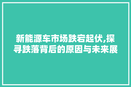新能源车市场跌宕起伏,探寻跌落背后的原因与未来展望  第1张 新能源车市场跌宕起伏,探寻跌落背后的原因与未来展望 小车配件
