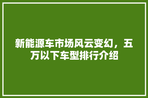 新能源车市场风云变幻，五万以下车型排行介绍  第1张 新能源车市场风云变幻，五万以下车型排行介绍 汽车维修