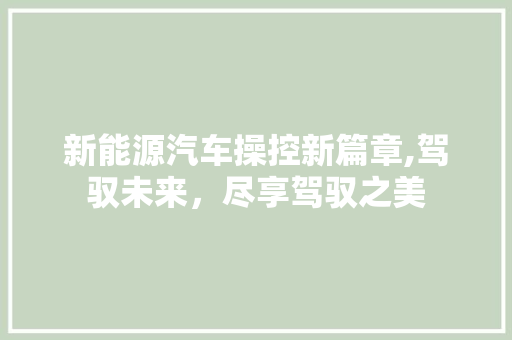 新能源汽车操控新篇章,驾驭未来，尽享驾驭之美  第1张 新能源汽车操控新篇章,驾驭未来，尽享驾驭之美 摩托车维修