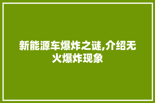 新能源车爆炸之谜,介绍无火爆炸现象  第1张 新能源车爆炸之谜,介绍无火爆炸现象 摩托车