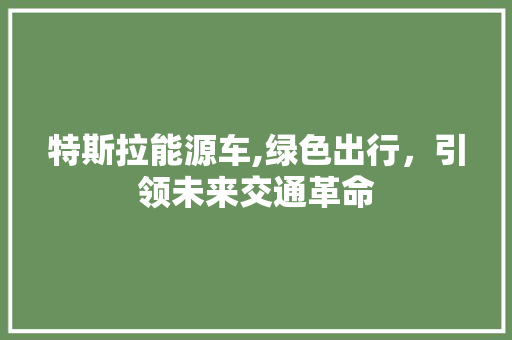 特斯拉能源车,绿色出行，引领未来交通革命  第1张 特斯拉能源车,绿色出行，引领未来交通革命 商用车