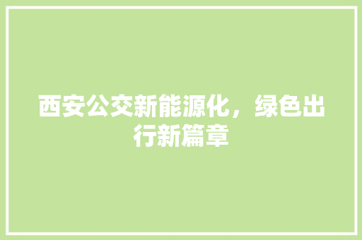 西安公交新能源化，绿色出行新篇章  第1张 西安公交新能源化，绿色出行新篇章 豪华车