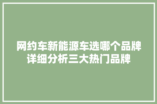 网约车新能源车选哪个品牌详细分析三大热门品牌  第1张 网约车新能源车选哪个品牌详细分析三大热门品牌 小车配件