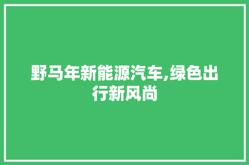 野马年新能源汽车,绿色出行新风尚  第1张 野马年新能源汽车,绿色出行新风尚 摩托车配件