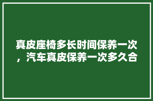 真皮座椅多长时间保养一次,汽车真皮保养一次多久合适。 豪华车 真皮座椅多长时间保养一次,汽车真皮保养一次多久合适。 第1张 真皮座椅多长时间保养一次,汽车真皮保养一次多久合适。 豪华车
