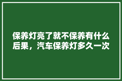 保养灯亮了就不保养有什么后果，汽车保养灯多久一次好呢视频。  第1张 保养灯亮了就不保养有什么后果，汽车保养灯多久一次好呢视频。 汽车百科