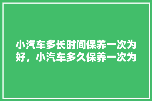 小汽车多长时间保养一次为好,小汽车多久保养一次为好呢。 热门车 小汽车多长时间保养一次为好,小汽车多久保养一次为好呢。 第1张 小汽车多长时间保养一次为好,小汽车多久保养一次为好呢。 热门车