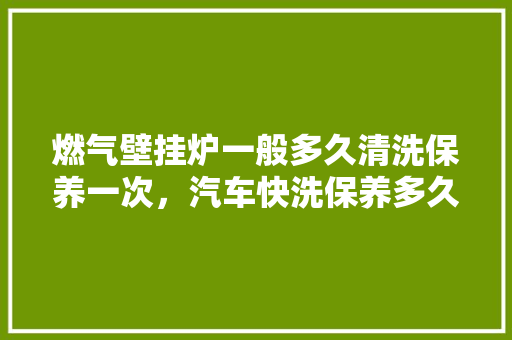 燃气壁挂炉一般多久清洗保养一次，汽车快洗保养多久一次比较好。  第1张 燃气壁挂炉一般多久清洗保养一次，汽车快洗保养多久一次比较好。 电瓶车