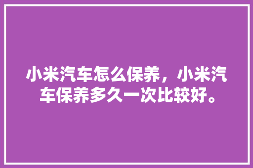 小米汽车怎么保养，小米汽车保养多久一次比较好。  第1张 小米汽车怎么保养，小米汽车保养多久一次比较好。 豪华车